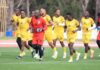 A letter to Uganda Cranes