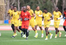 A letter to Uganda Cranes