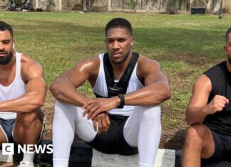 Anthony Joshua discharged from hospital after Nigeria car crash
