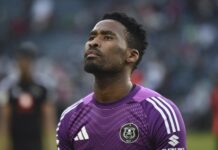 Chaine dreams of Bafana World Cup experience